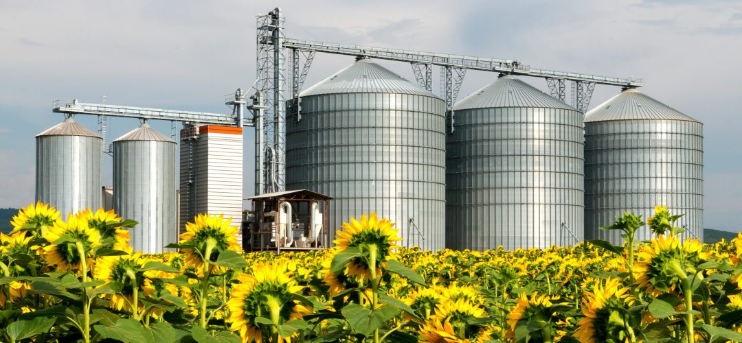 Silo in a sunflower field. Grain elevator silos.